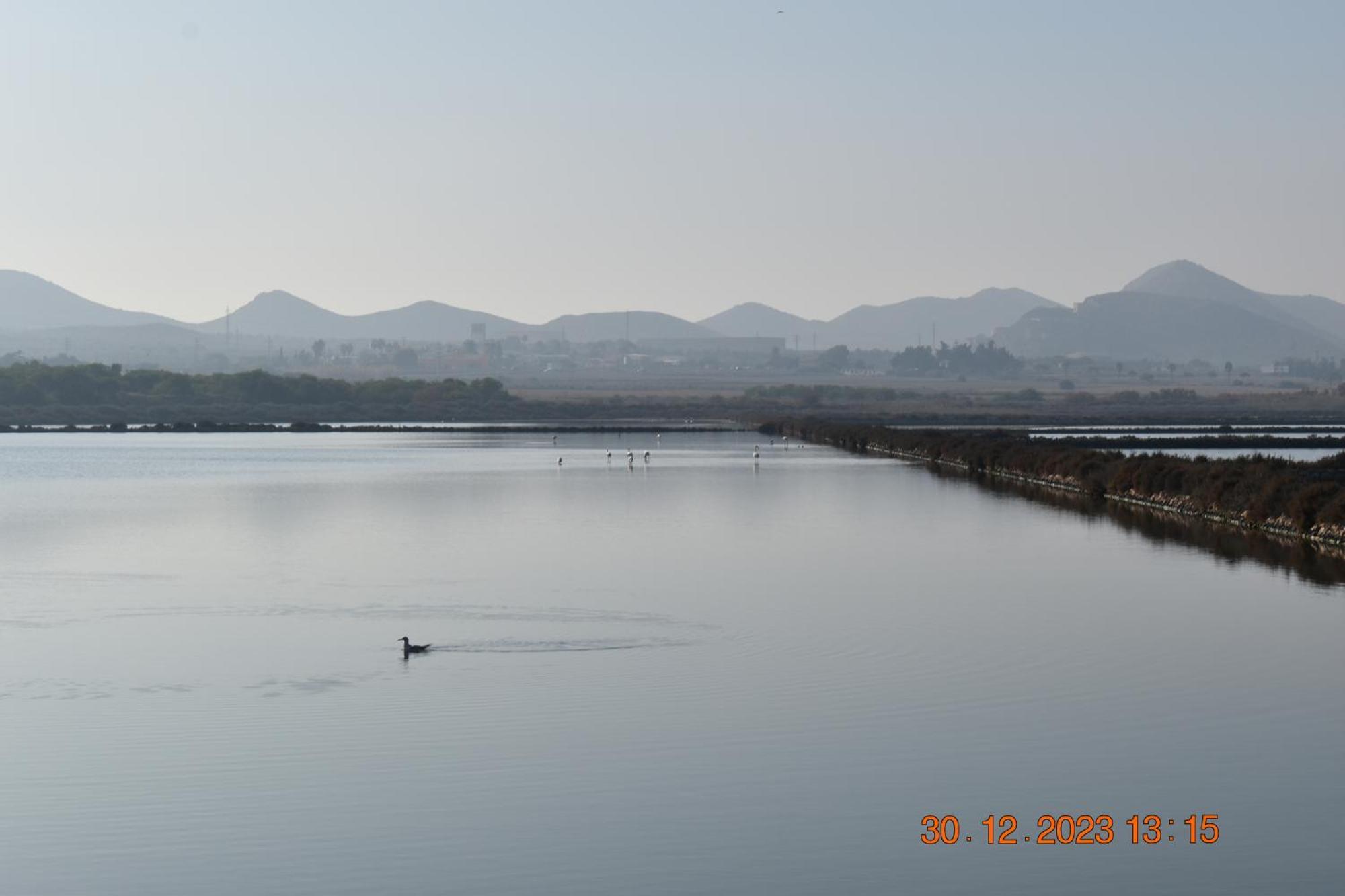Apart Turisticos Marine Rest La Manga Mar Menor Piscinas Privadas Playa Paraiso  Exteriör bild