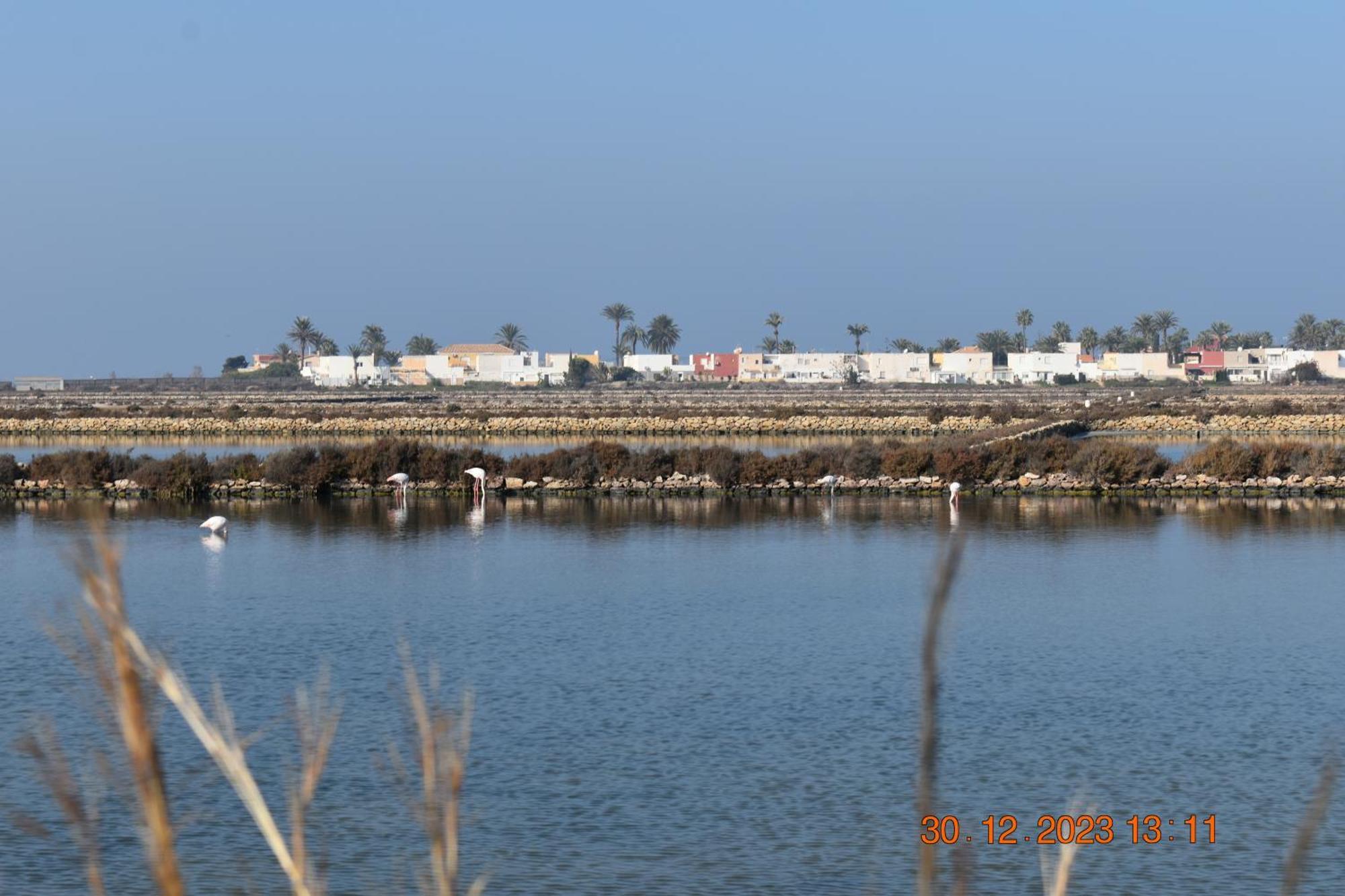 Apart Turisticos Marine Rest La Manga Mar Menor Piscinas Privadas Playa Paraiso  Exteriör bild